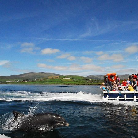 Cois Chnoic Holiday Home Dingle By Trident Holiday Homes エクステリア 写真