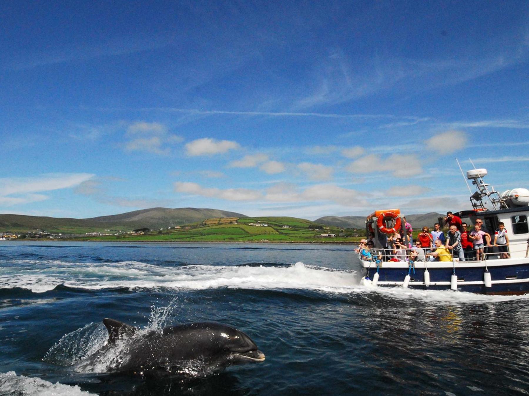 Cois Chnoic Holiday Home Dingle By Trident Holiday Homes エクステリア 写真